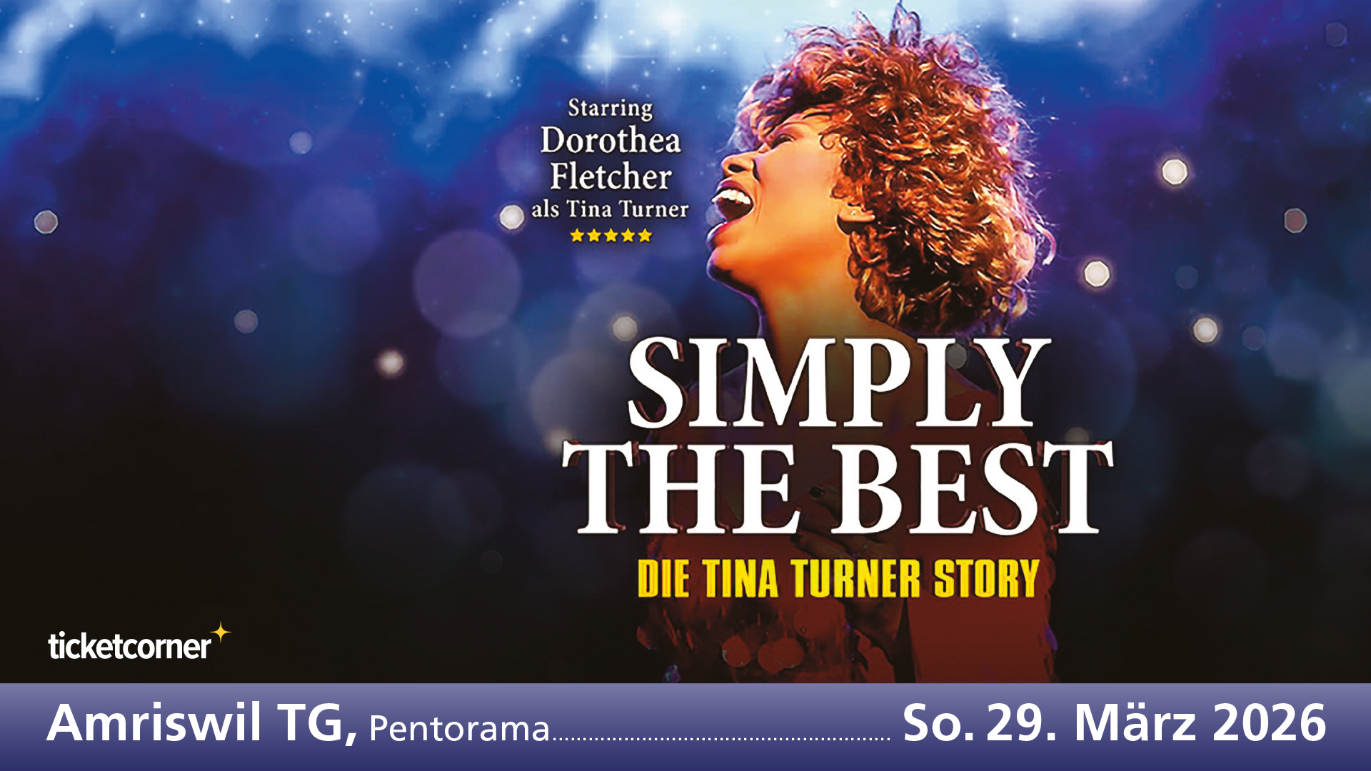 Tina Turner Story